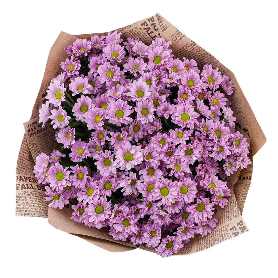 Букет из 19 розовых кустовых хризантем Сантини Крисси (02826)