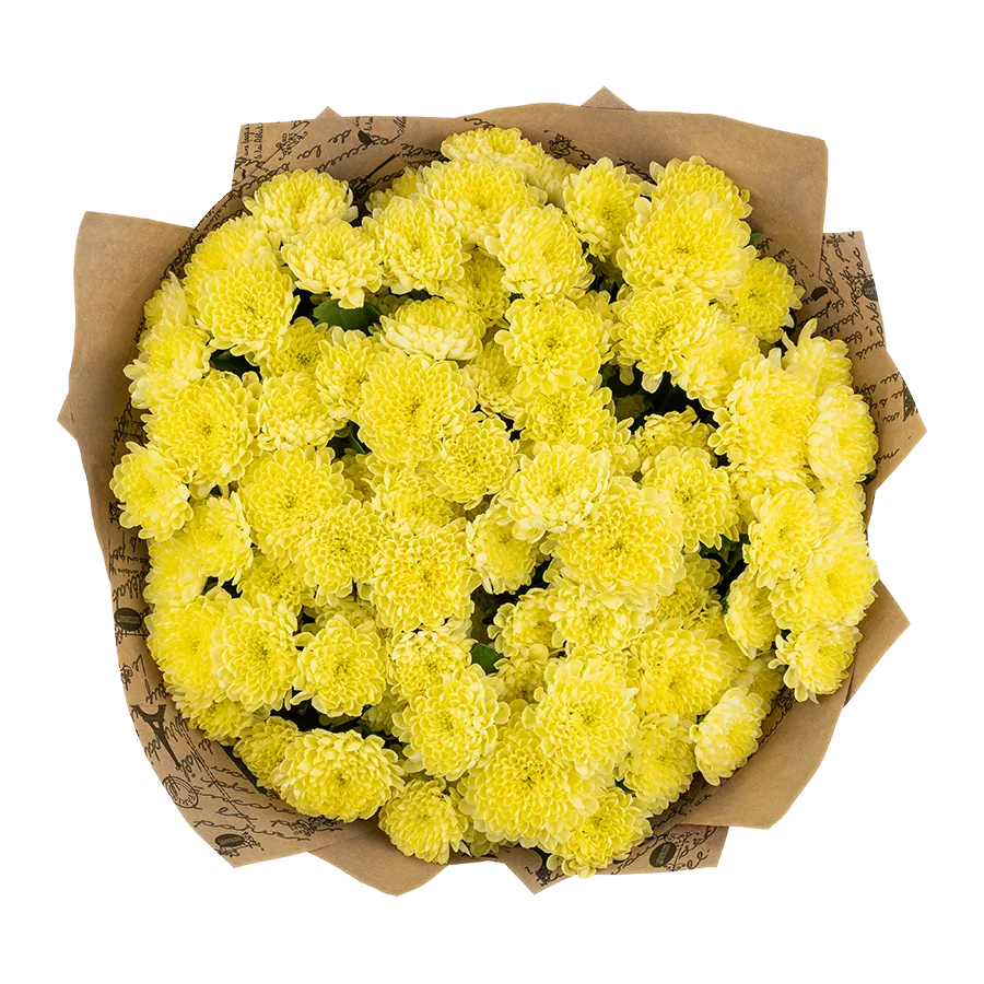 Букет из 15 нежно-желтых кустовых хризантем Сантини Байкал Лунар (03660)