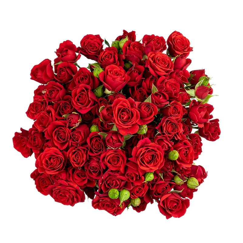 Букет из 19 красных кустовых роз Мирабель (01730)