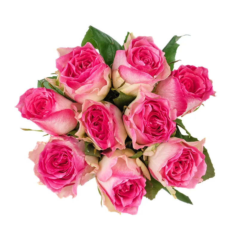 Букет из 9 бело-розовых роз Малибу (01444)
