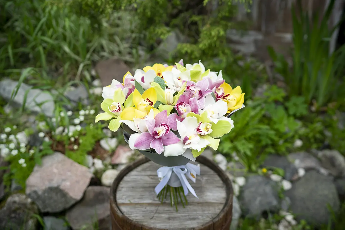 Букет из 23 разноцветных орхидей Цимбидиум (01092)