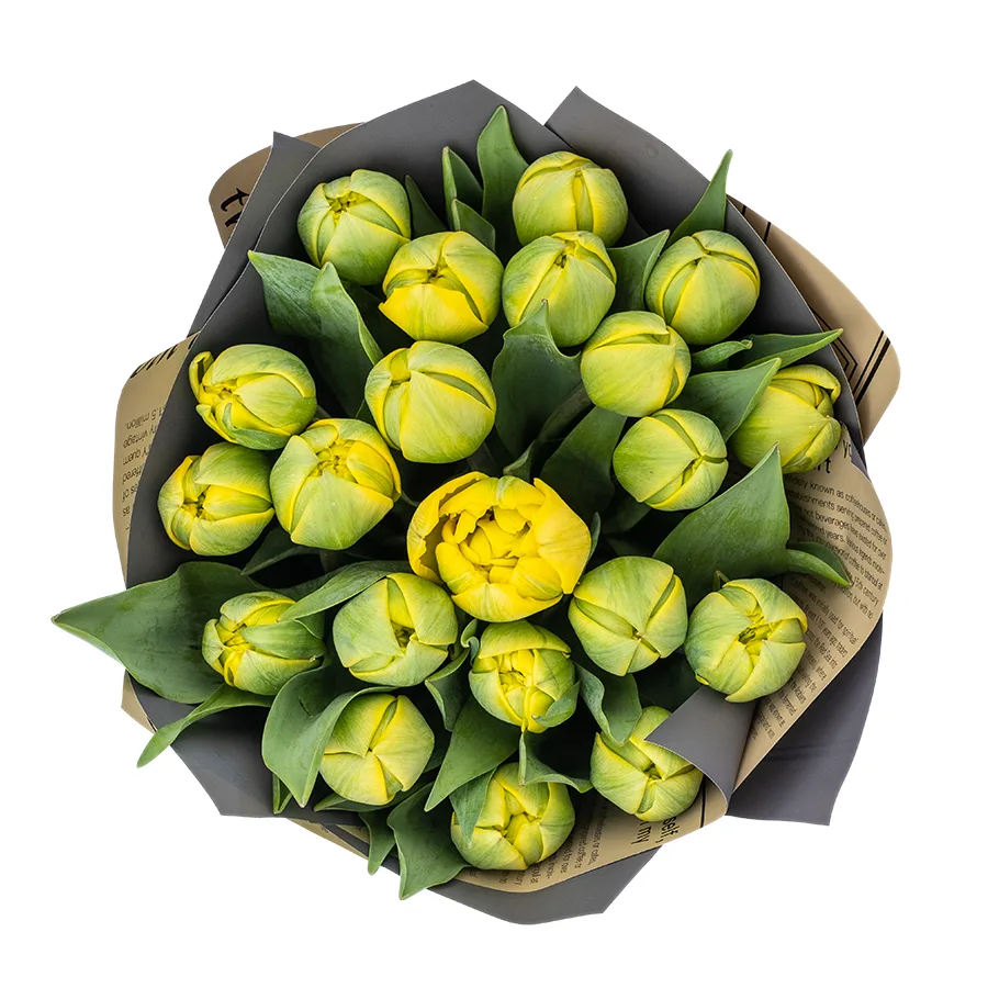 Букет из 21 желтых махровых тюльпанов Йелоу Помпонет (02446)