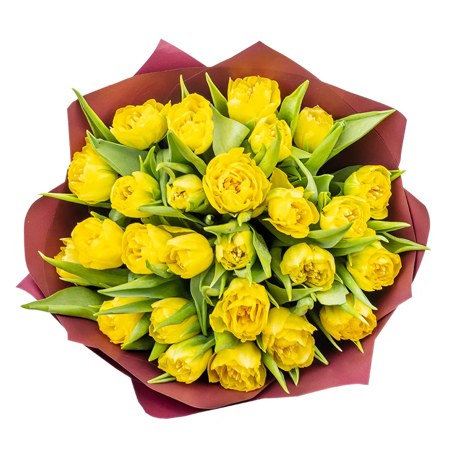 Букет из 27 желтых махровых тюльпанов Хоумран (02286)