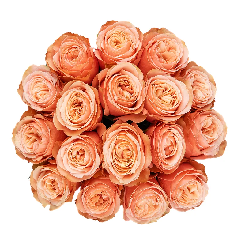 Букет из 17 персиковых пионовидных роз Кахала (01411)