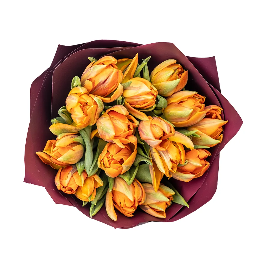 Букет из 15 оранжевых махровых тюльпанов Оранж Принцесс (02252)