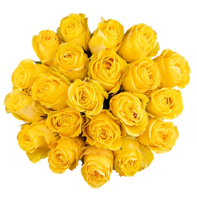 Букет из 21 жёлтой розы Брайтон (01817)