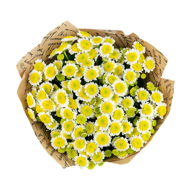 Букет из 13 бело-жёлтых кустовых хризантем Сантини Сан Ап (01545)