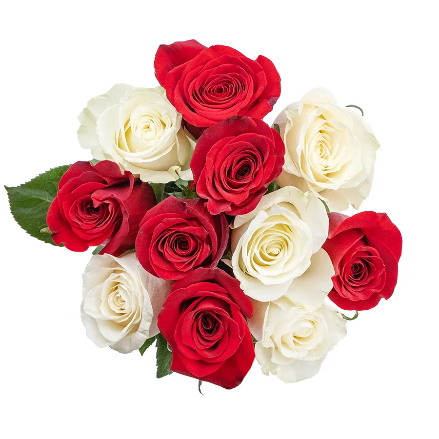 Букет из 11 красных и белых роз Фридом и Мондиаль (02222)
