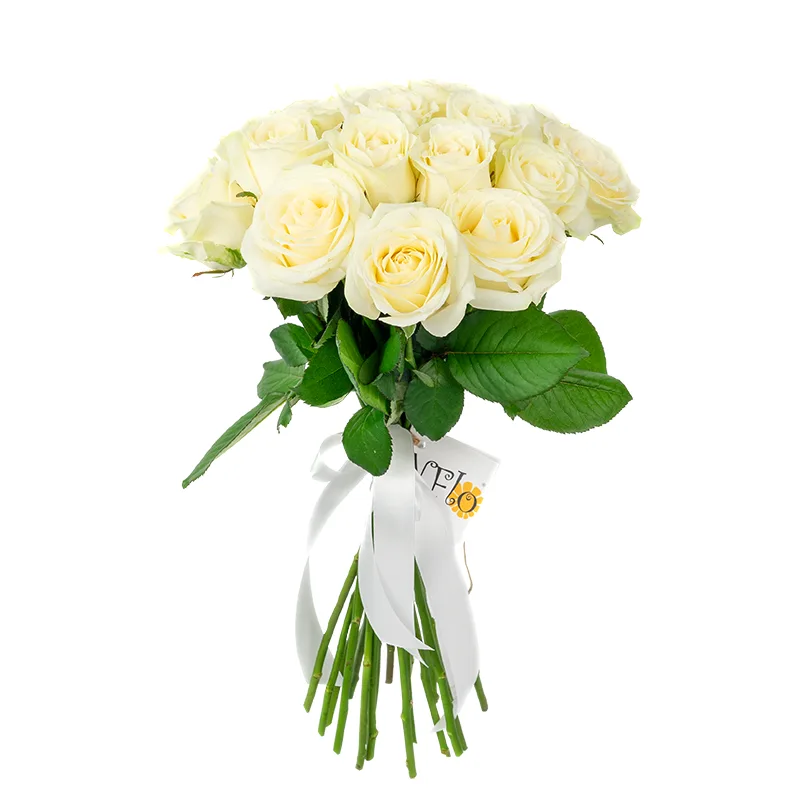 Букет из 19 белых роз Аваланж (01138)