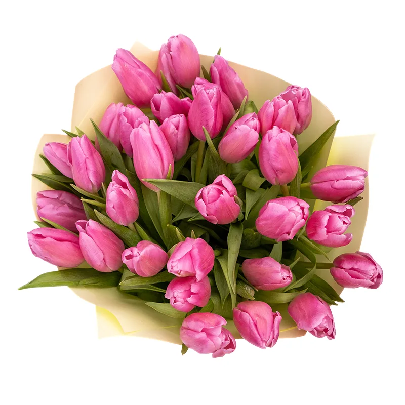 Букет из 33 розовых тюльпанов (01952)