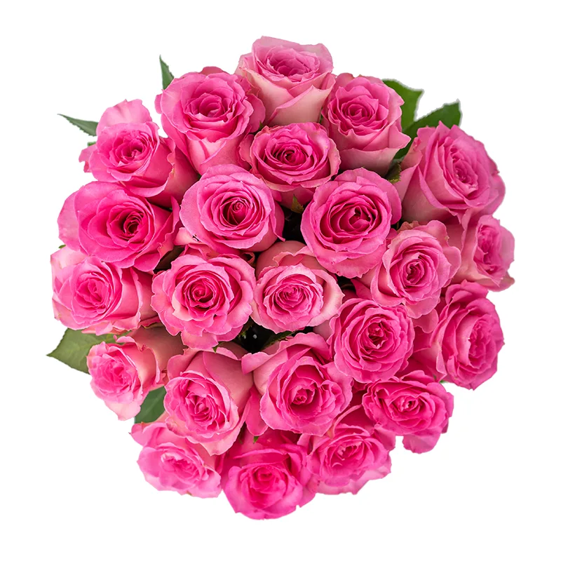 Букет из 23 розовых роз Свит Юнику (01158)