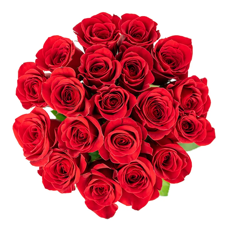 Букет из 19 красных роз Фридом (01145)