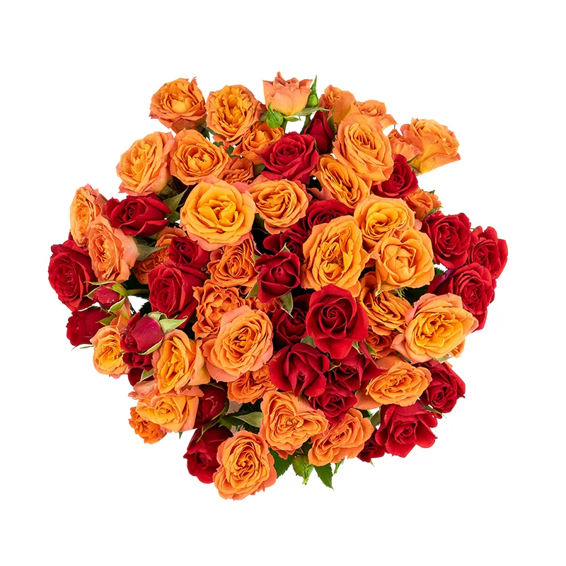 Букет из 11 оранжевых и красных кустовых роз (01659)