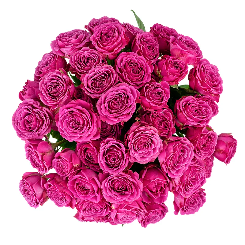 Букет из 17 малиновых кустовых роз Классик Сенсейшн (01352)