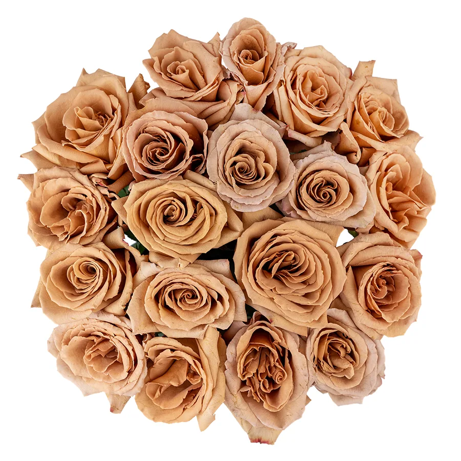 Букет из 19 кофейно-карамельных роз Тоффи (02947)