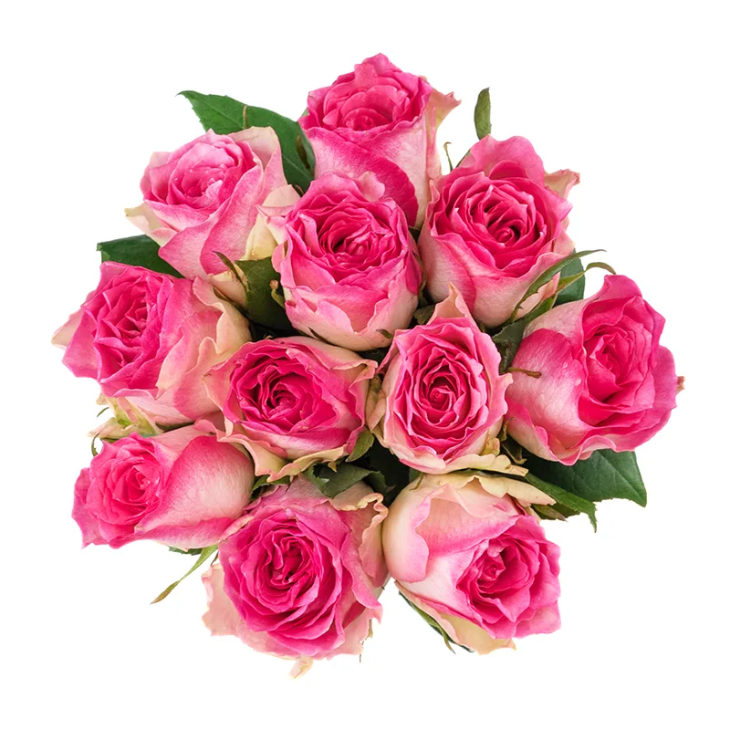 Букет из 11 бело-розовых роз Малибу (01443)