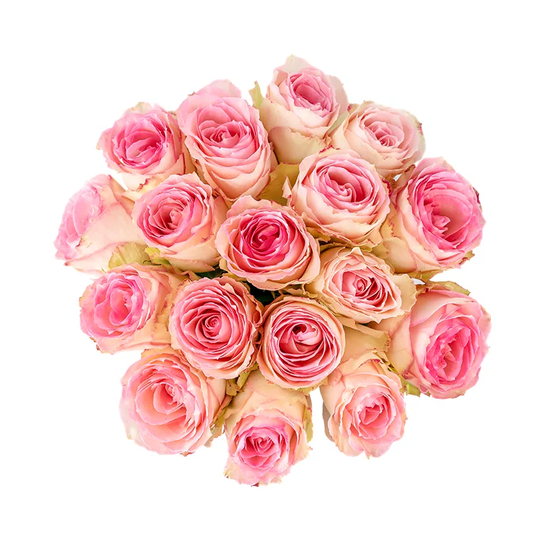 Букет из 17 розовых роз Эсперанс (01238)