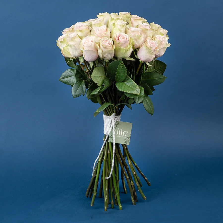 Букет из 29 светло-розовых роз Фрутетто (02209)