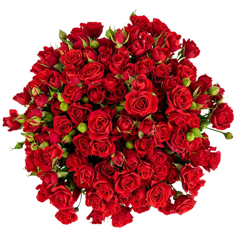 Букет из 29 красных кустовых роз Мирабель (01725)
