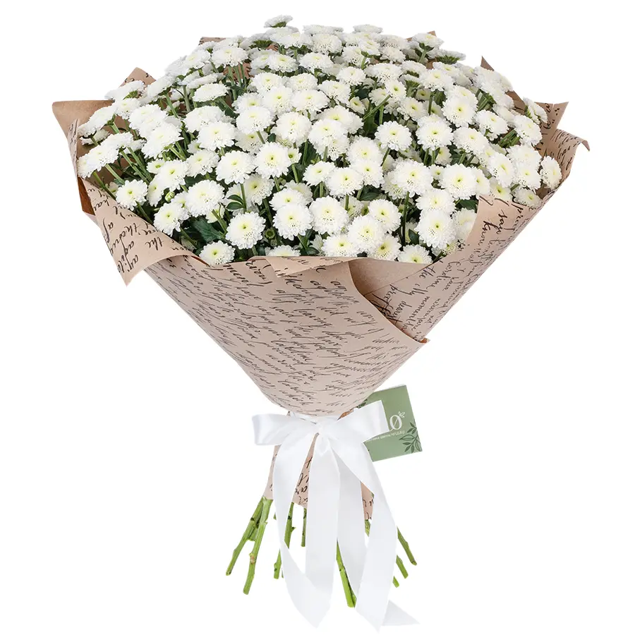 Букет из 25 белых кустовых хризантем Сантини Калимеро Сноу (02684)
