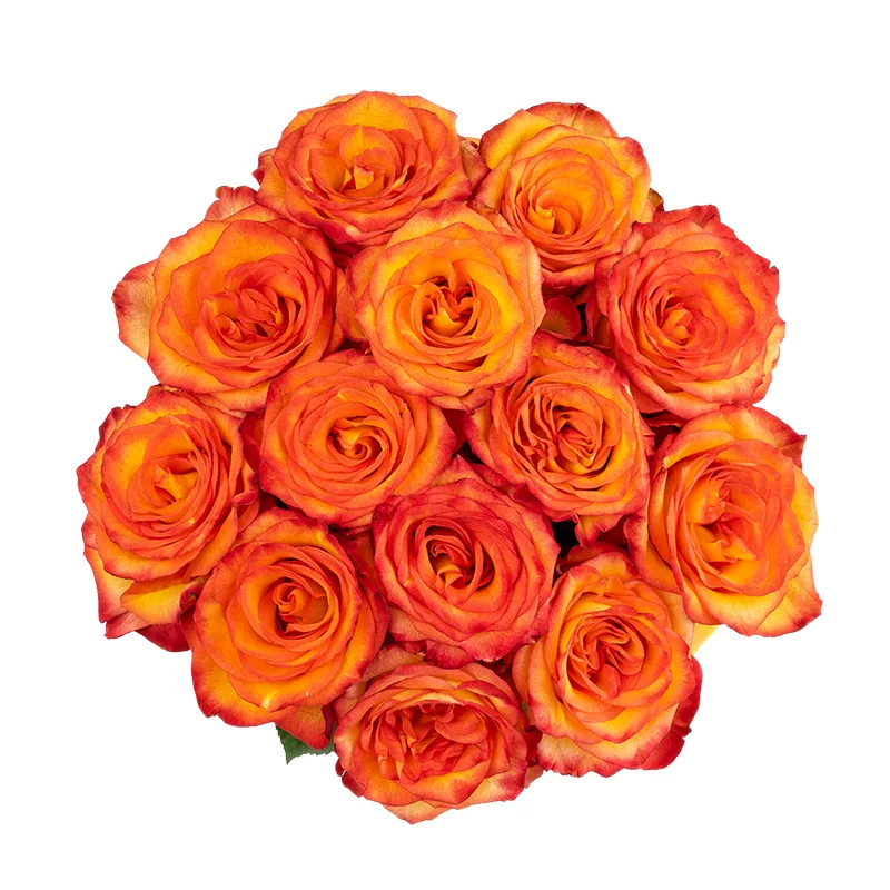 Букет из 13 оранжево-красных роз Хай Мэйджик (01613)