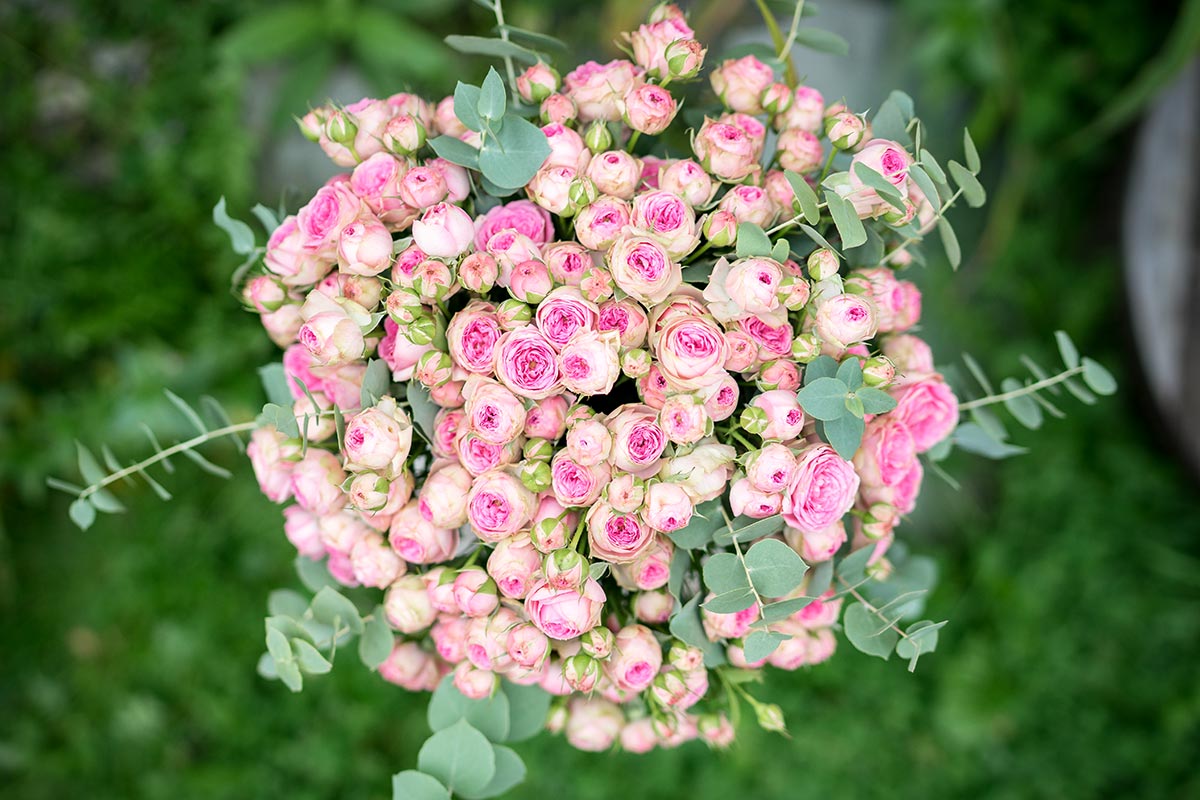 Букет из розовых кустовых пионовидных роз (01057)