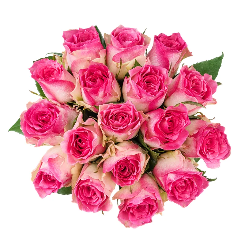 Букет из 17 бело-розовых роз Малибу (01440)