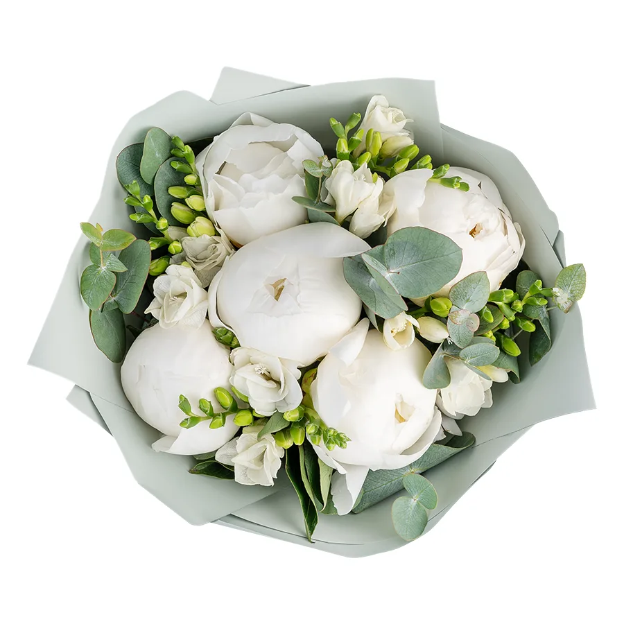 Букет из 13 цветов — ароматных белых пионов и фрезий (02531)