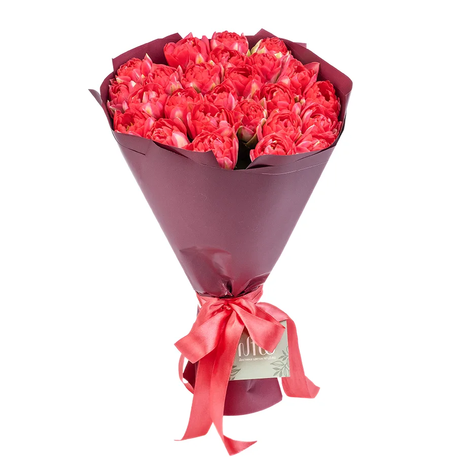 Букет из 25 красных махровых тюльпанов Памплона (02407)