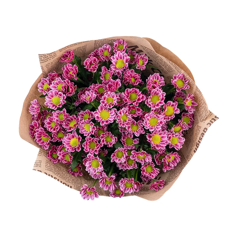 Букет из 11 пурпурных кустовых хризантем Сантини Любовь (02868)