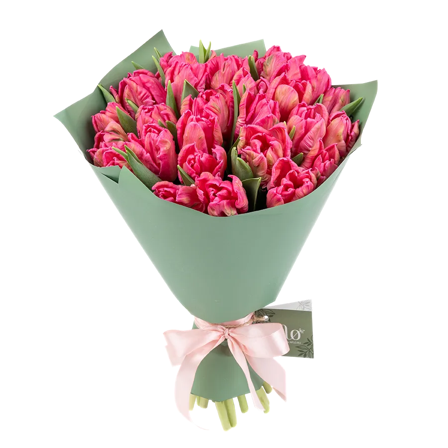 Букет из 29 розовых попугайных тюльпанов Марвел Пэррот (02064)