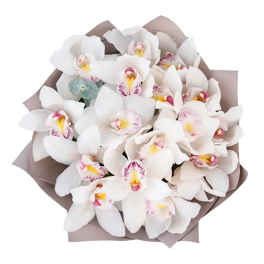 Букет из 17 белых орхидей Цимбидиум (03063)