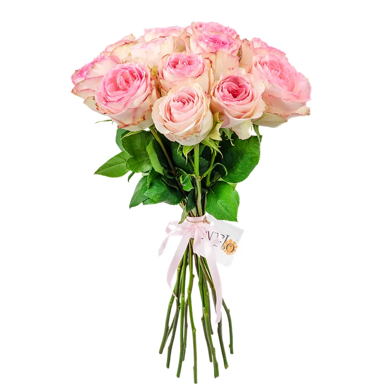 Букет из 15 розовых роз Эсперанс (01239)