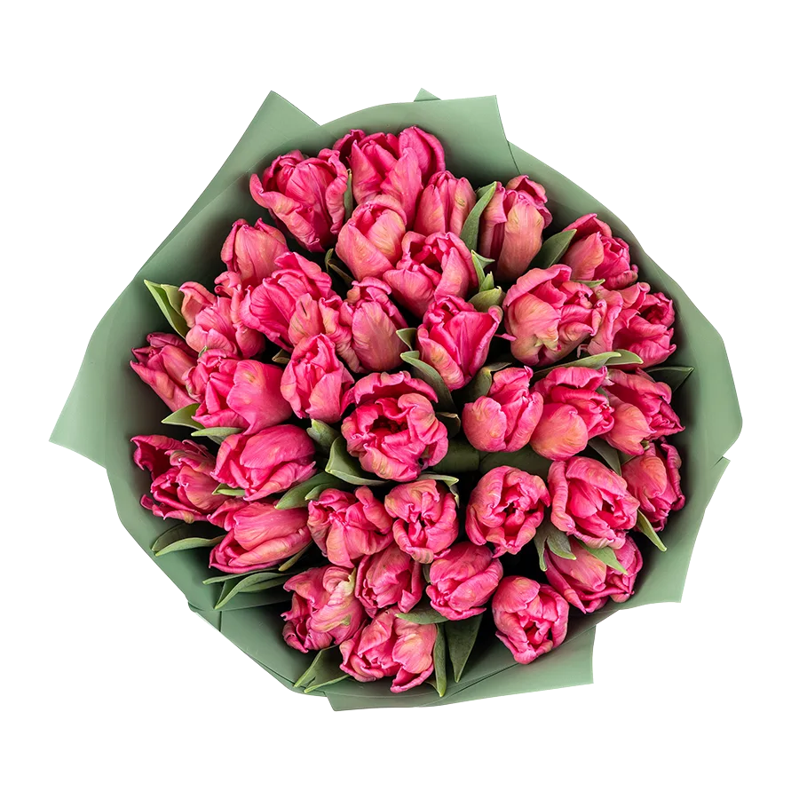Букет из 35 розовых попугайных тюльпанов Марвел Пэррот (02061)