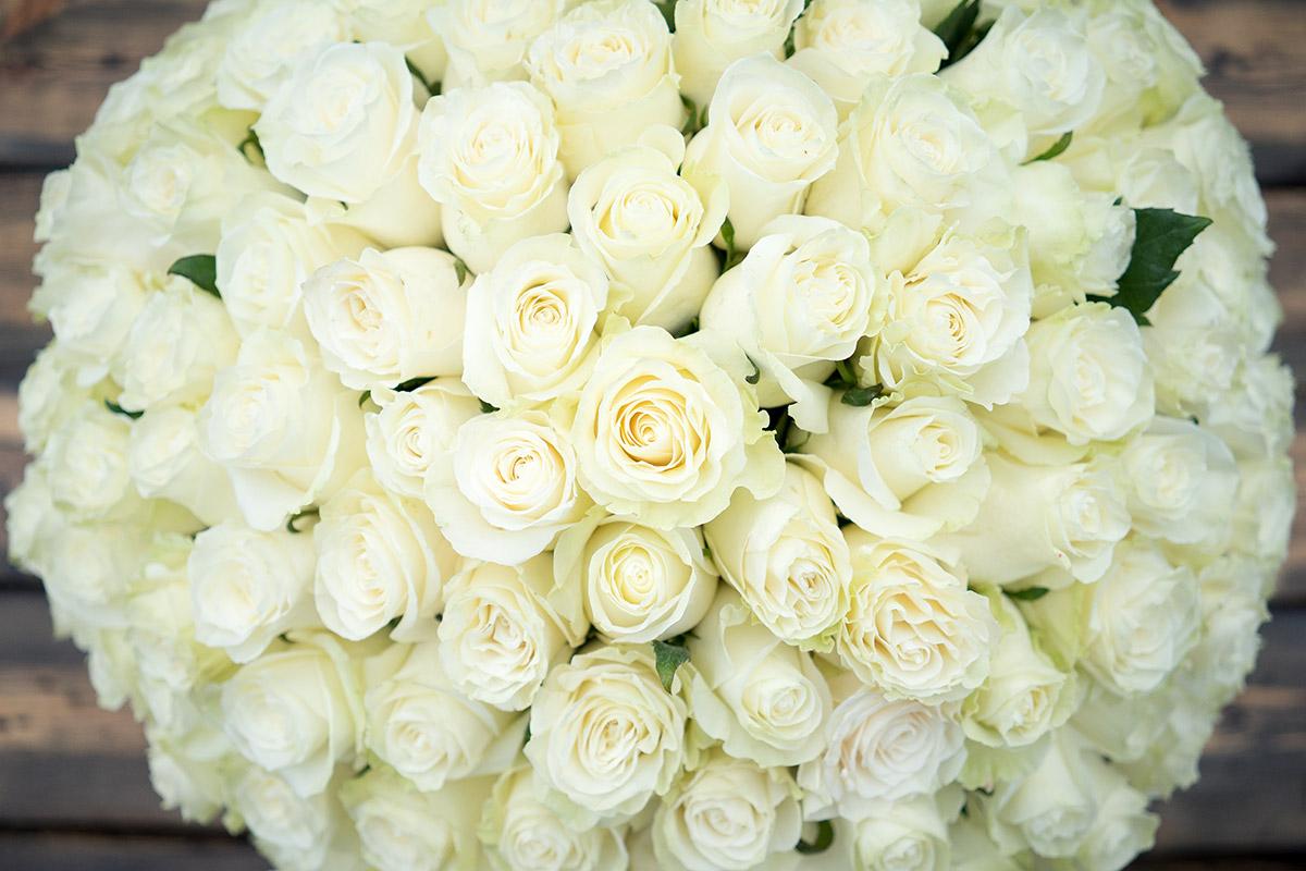 Букет из 141 белой розы Мондиаль (00574)
