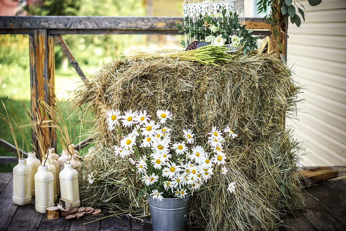 Оформление свадьбы в стиле рустик в Боброво