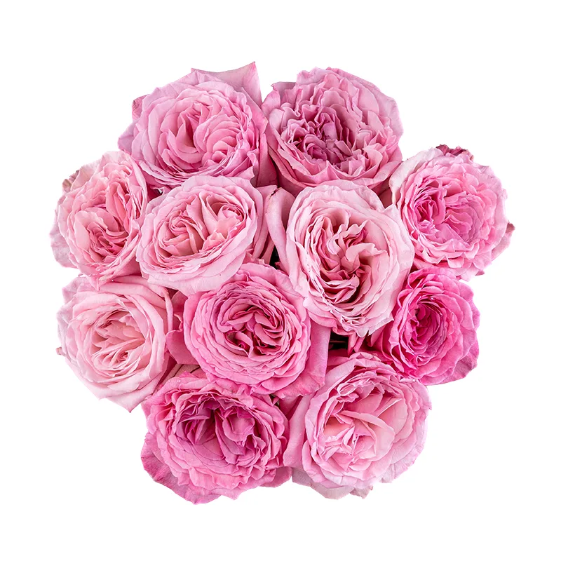 Букет из 11 ароматных розовых садовых роз Пинк О’Хара (01776)