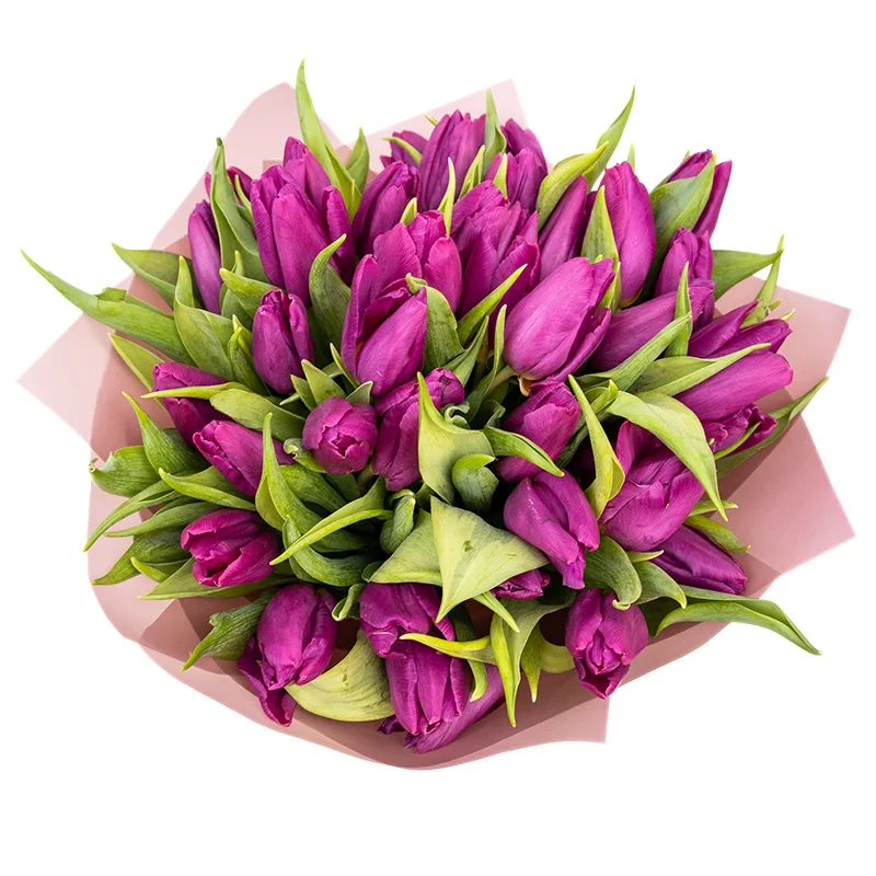 Букет из 41 фиолетового тюльпана (01916)