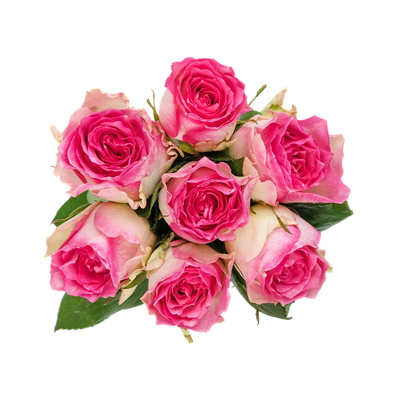 Букет из 7 бело-розовых роз Малибу (01445)