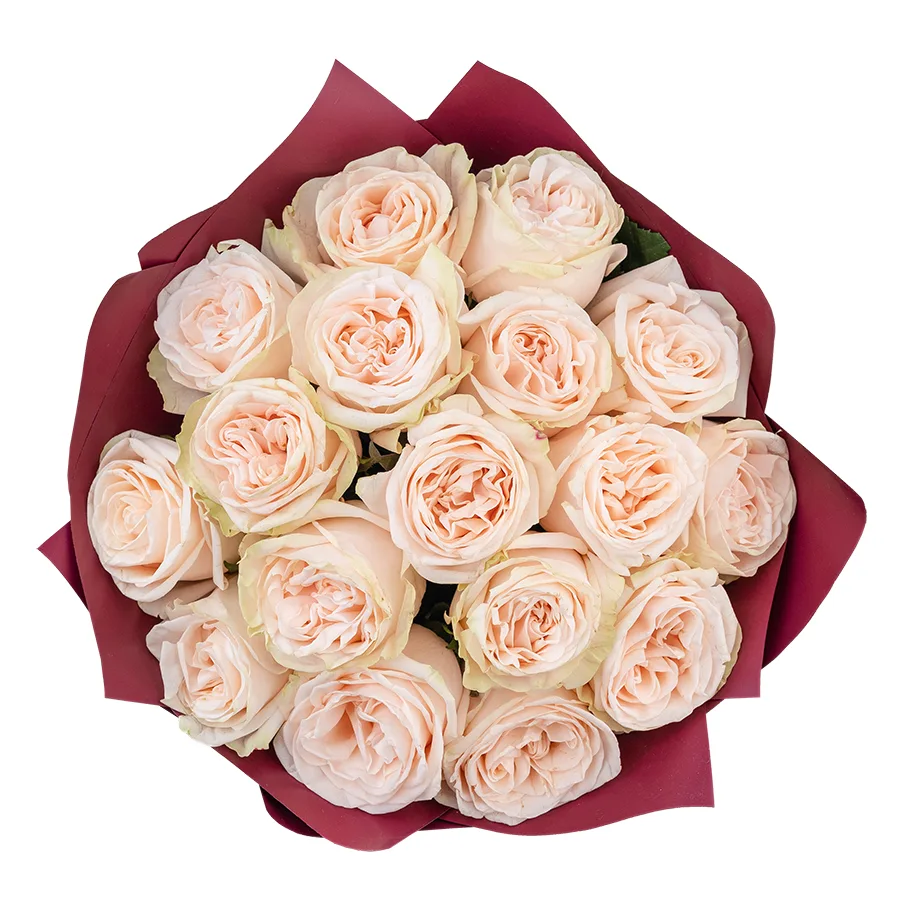 Букет из 17 кремово-розовых пионовидных роз Гарден Спирит (02919)