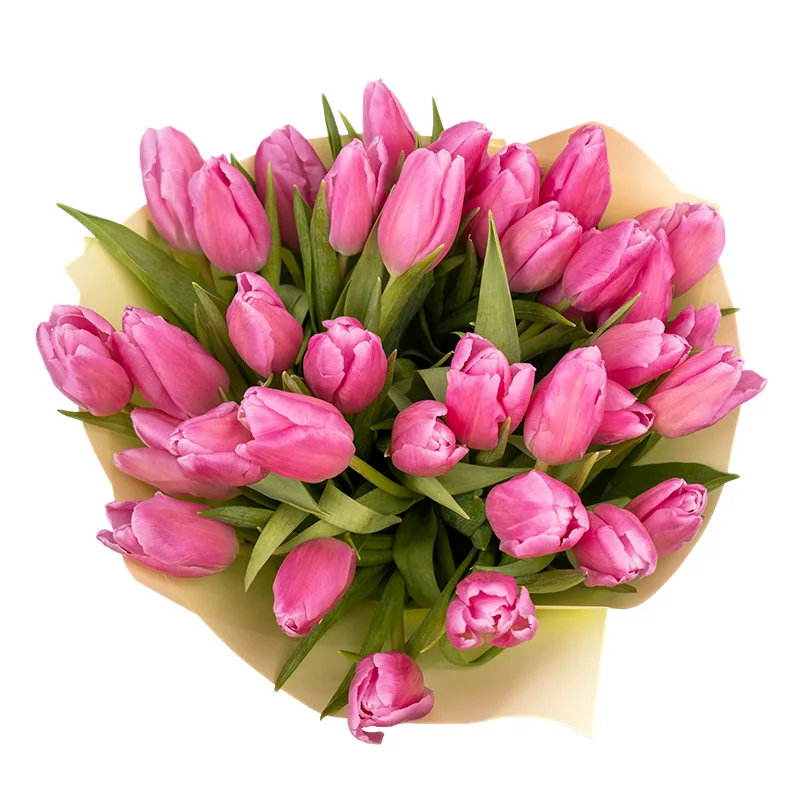 Букет из 37 розовых тюльпанов (01950)