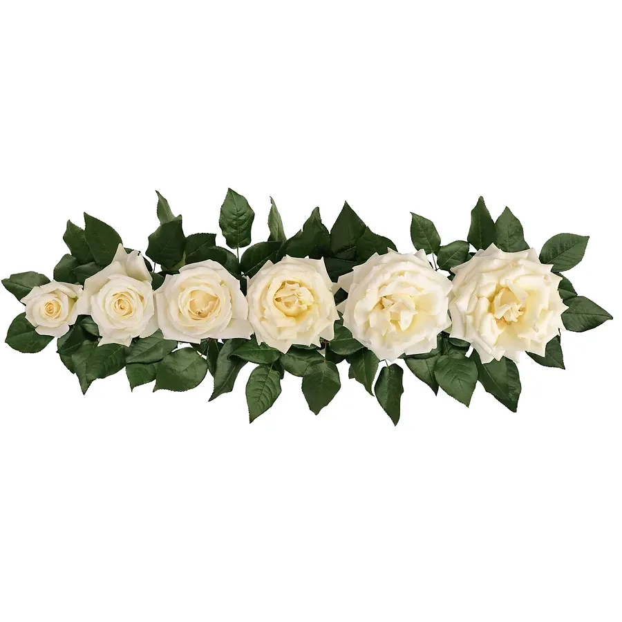 Роза садовая белая ароматная Виталити (00331)