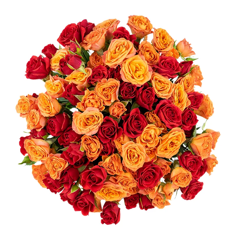 Букет из 19 оранжевых и красных кустовых роз (01655)