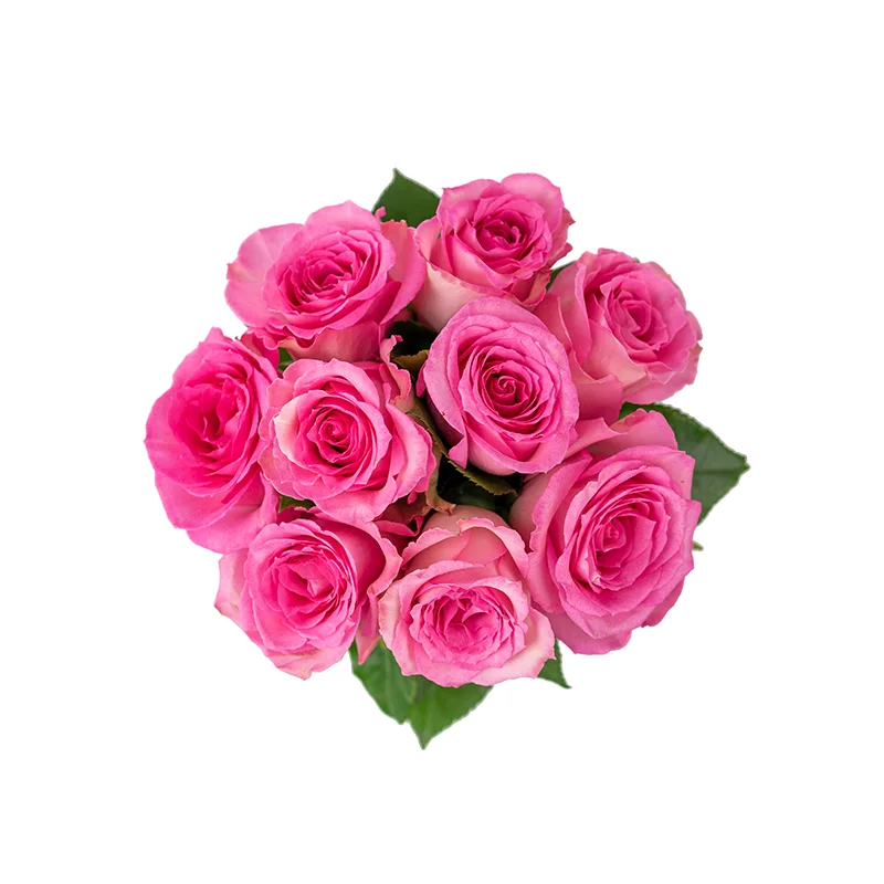 Букет из 9 розовых роз Свит Юнику (01165)