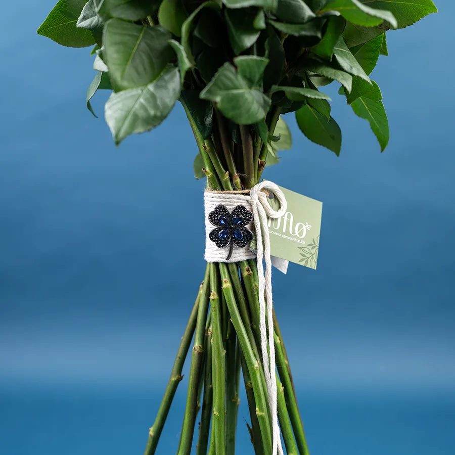 Букет из 21 ярко-малиновой розы Энчентмент (03857)