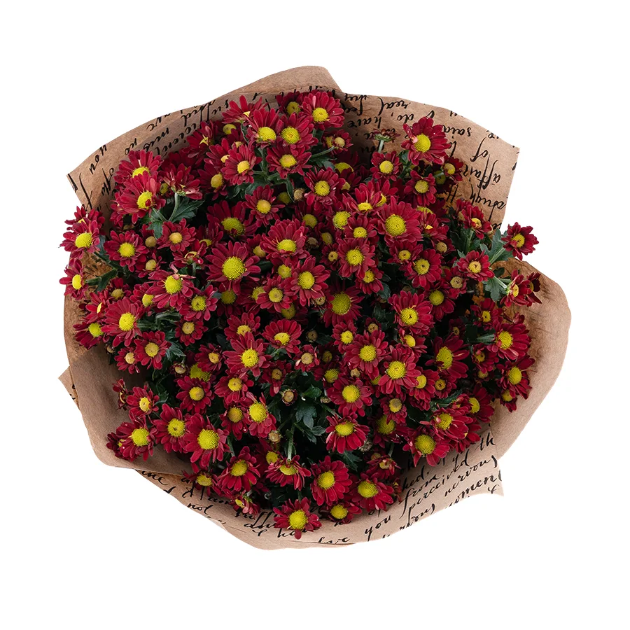 Букет из 9 красных кустовых хризантем Сантини Мадиба Дунга Рэд (02945)