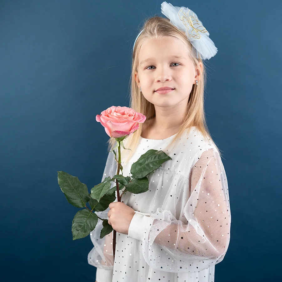 Роза розово-коралловая Эрмоса 60 см (03876)