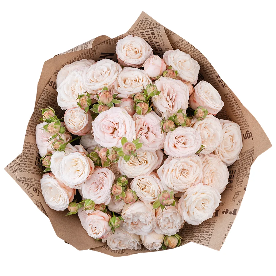 Букет из 7 нежно-розовых кустовых пионовидных роз Бомбастик 60 см (02933)