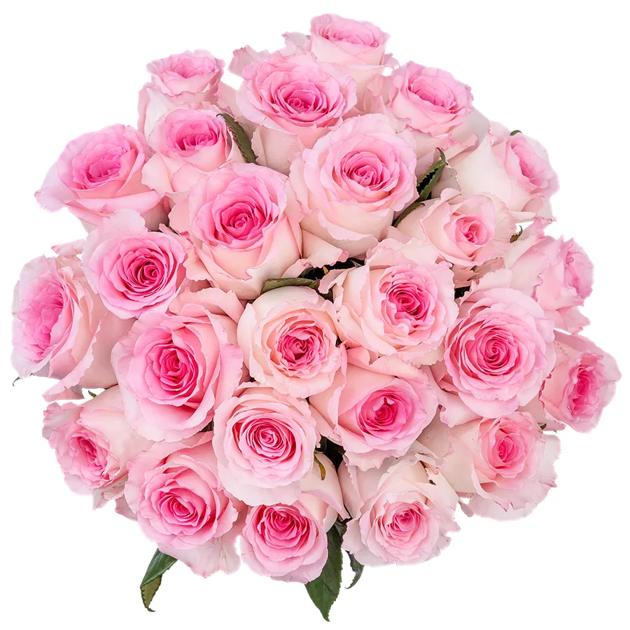 Букет из 25 бело-розовых роз Мандала (02659)