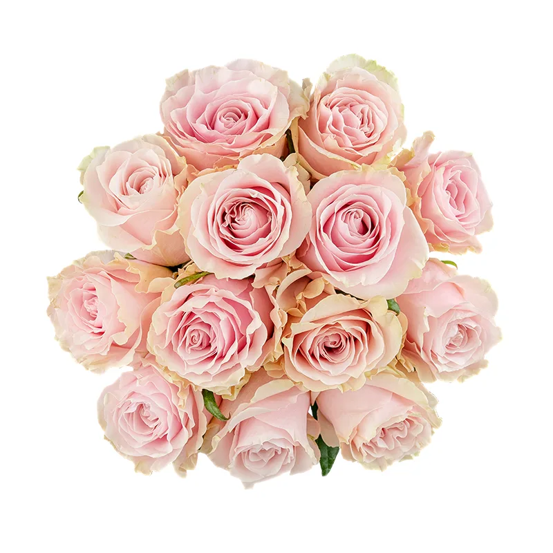 Букет из 13 розово-кремовых роз Пинк Мондиаль (01563)